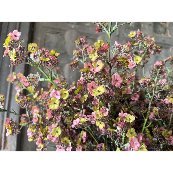 Brynxz Potentilla Roze 102 cm