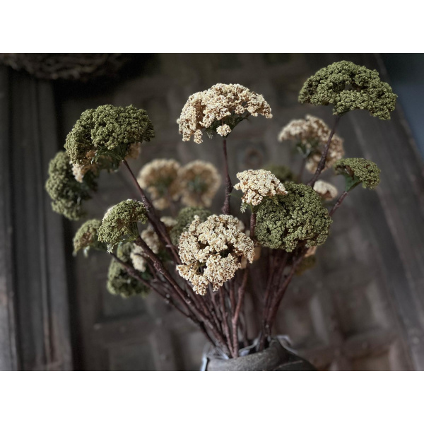 Brynxz Sedum Spray Groen Dark Creem | Erve Smit Landelijke decoratie