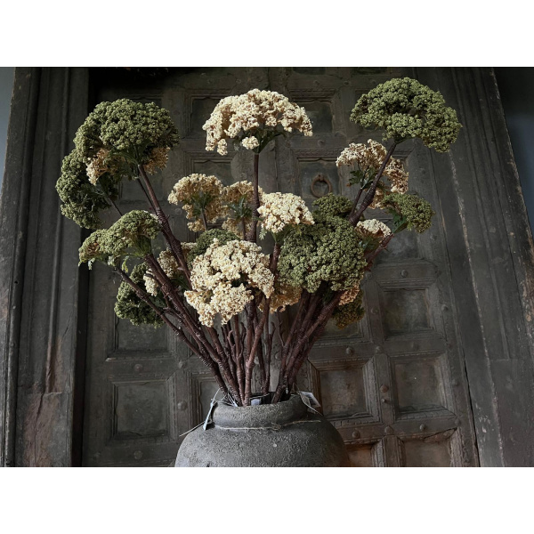 Brynxz Sedum Spray Groen Decoratie Tak