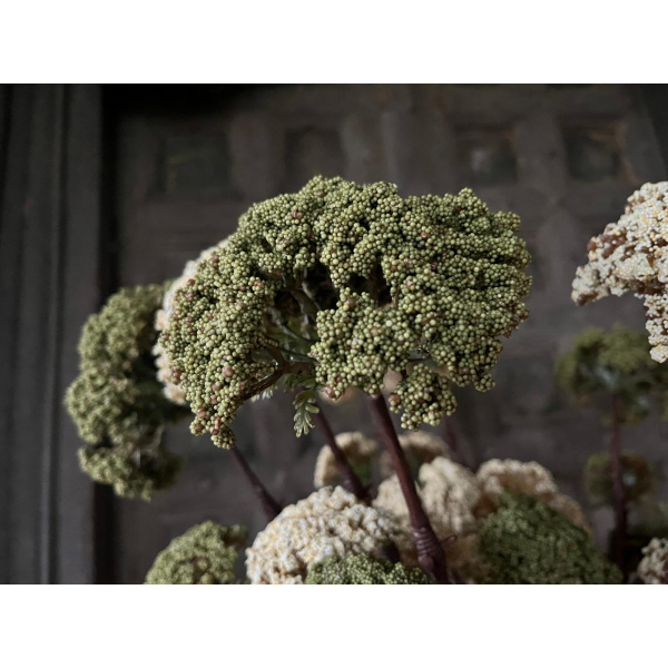 Brynxz Sedum Spray Groen Decoratie Tak