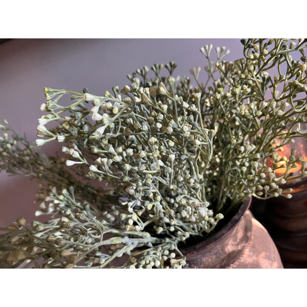 Brynxz Stellaria Grey Green Bush 41cm