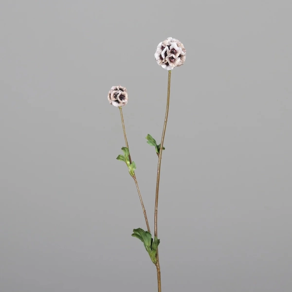 Brynxz Scabiosa 63 cm Crème - Afbeelding 6