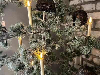 Countryfield Kerstboomkaarsjes Met Klem Goud set van 5