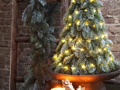 Brynxz Nobilis Kerstboom XTREE Met Ledlampjes